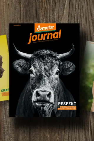 Demeter Journal 52