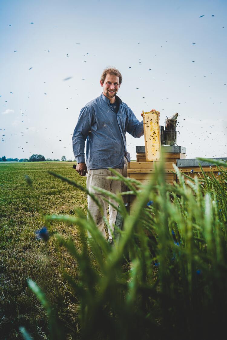 Imker bei seinen Bienen