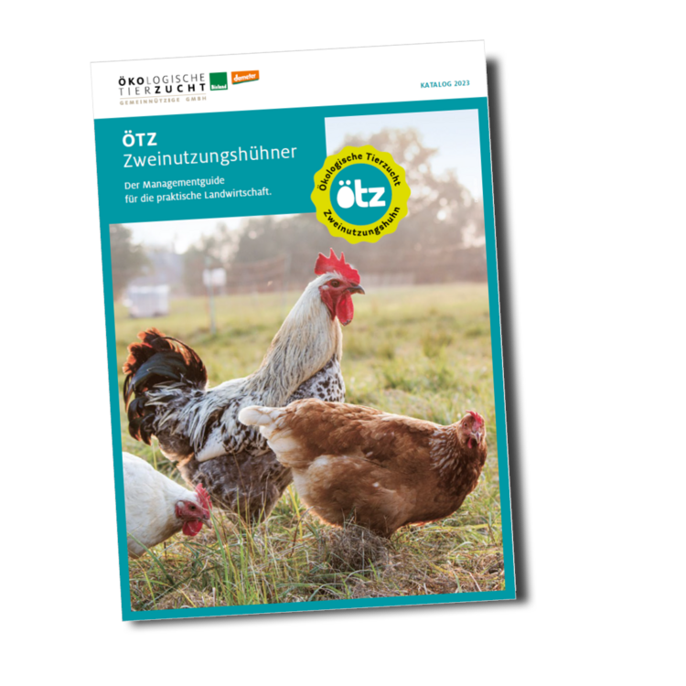 Managementguide ÖTZ