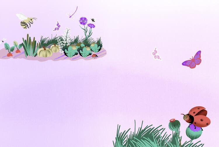 Blumenwiese Illustration