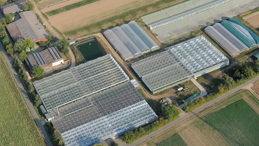 Bild_WirGarten_GemüsegärtnerMeisterIn