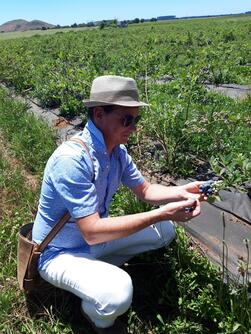 Mann untersucht Pflanze